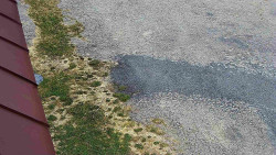 Nástup na běžecké tratě