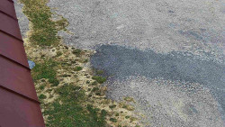 Nástup na běžecké tratě