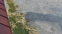 Nástup na běžecké tratě