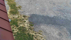 Nástup na běžecké tratě