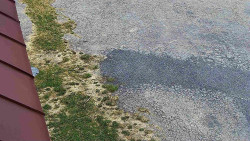 Nástup na běžecké tratě