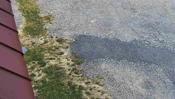 Nástup na běžecké tratě