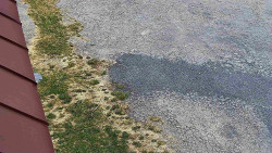 Nástup na běžecké tratě