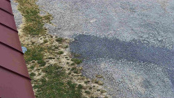 Nástup na běžecké tratě