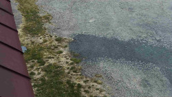 Nástup na běžecké tratě