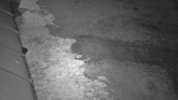 Nástup na běžecké tratě