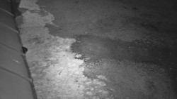 Nástup na běžecké tratě