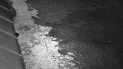 Nástup na běžecké tratě