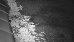 Nástup na běžecké tratě