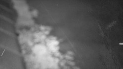 Nástup na běžecké tratě