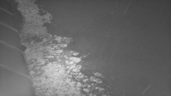 Nástup na běžecké tratě