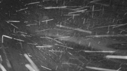 Nástup na běžecké tratě