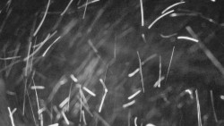 Nástup na běžecké tratě