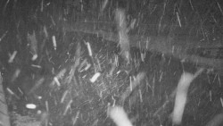 Nástup na běžecké tratě