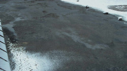 Nástup na běžecké tratě