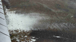 Nástup na běžecké tratě