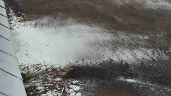 Nástup na běžecké tratě