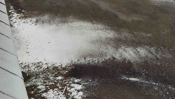 Nástup na běžecké tratě