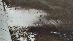 Nástup na běžecké tratě