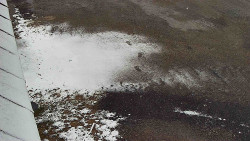 Nástup na běžecké tratě