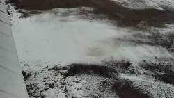 Nástup na běžecké tratě