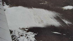 Nástup na běžecké tratě