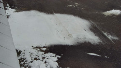 Nástup na běžecké tratě