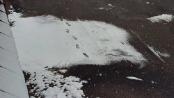 Nástup na běžecké tratě