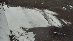 Nástup na běžecké tratě