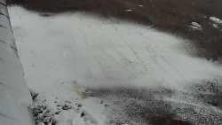 Nástup na běžecké tratě