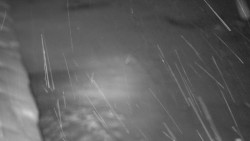 Nástup na běžecké tratě