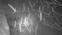 Nástup na běžecké tratě