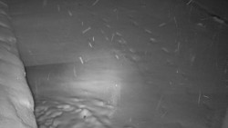 Nástup na běžecké tratě