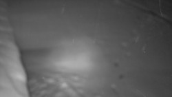 Nástup na běžecké tratě