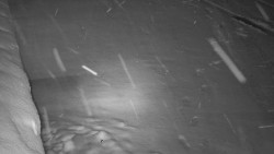 Nástup na běžecké tratě