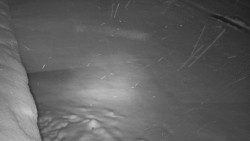 Nástup na běžecké tratě