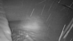 Nástup na běžecké tratě