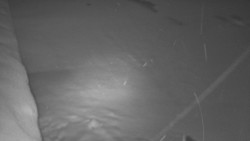 Nástup na běžecké tratě