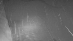 Nástup na běžecké tratě