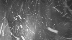 Nástup na běžecké tratě