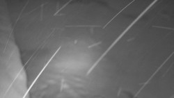 Nástup na běžecké tratě