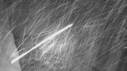 Nástup na běžecké tratě