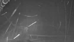 Nástup na běžecké tratě