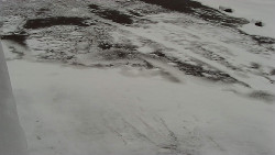 Nástup na běžecké tratě