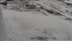 Nástup na běžecké tratě