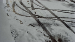 Nástup na běžecké tratě