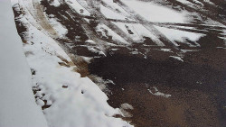 Nástup na běžecké tratě