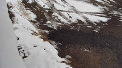 Nástup na běžecké tratě