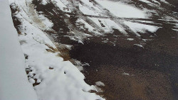 Nástup na běžecké tratě