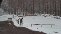 Nástup na běžecké tratě